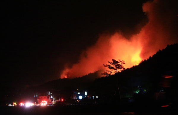 1일 오후 강원 고성군 도원리의 주택 화재가 산불로 번져 학야리 일대에서 산불진화대원들이 진화선을 형성하고 있다. 현재 고성지역에는 건조주의보와 강풍주의보가 동시에 내려져 있다.