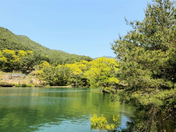 천은저수지 수변산책로