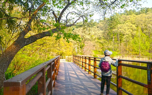  육림호를 산책하는 시민