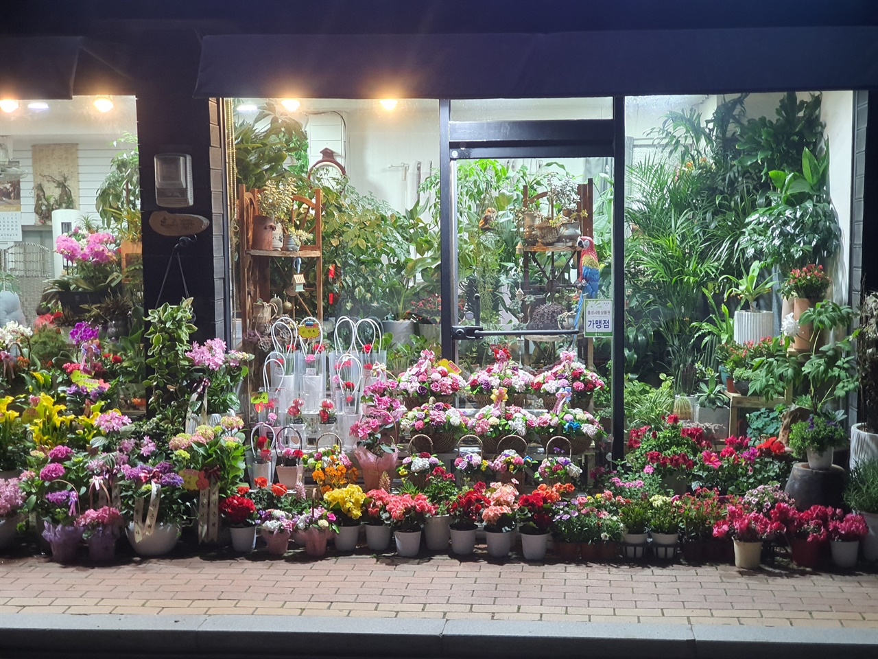 어버이날을 하루 앞둔 지난 7일 한 꽃집에 카네이션 꽃바구니가 가득하다.