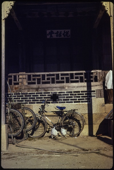 평화봉사단 자격으로 1979년~1981년 한국에 머물렀던 폴 코트라이트가 자신이 근무하던 나주에서 찍은 사진이다.