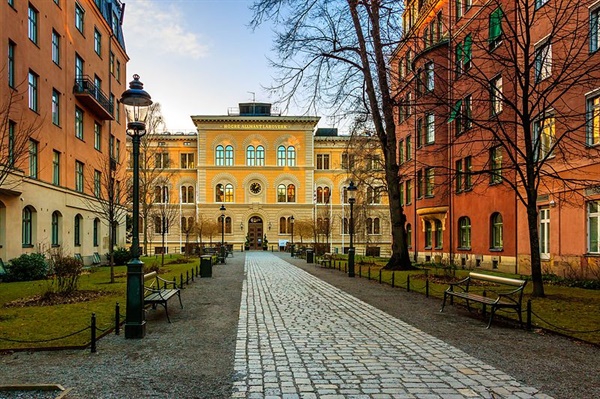 학교 선택제는 스웨덴의 교육에 큰 변화를 가져왔다.