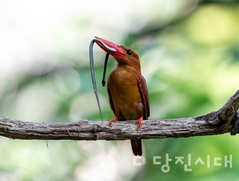 이정식 씨 사진