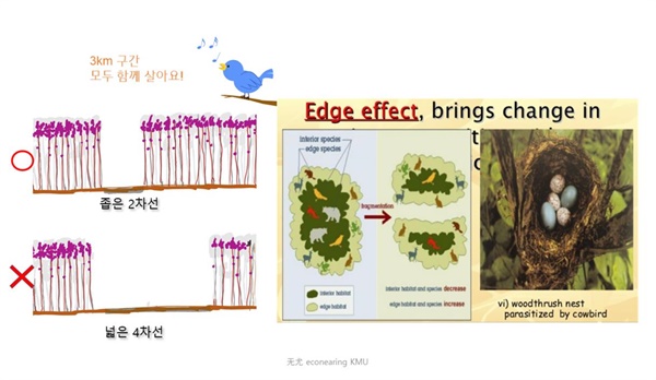 비자림로 4차선확장이 가져올 서식처 단절 .