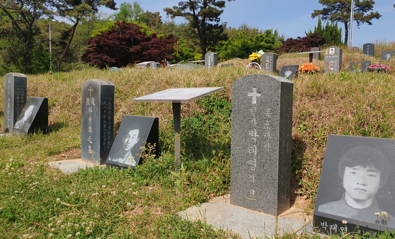  5·18 항쟁 희생자들이 처음 묻혔던 광주 망월묘역. 80년 이후 민주화의 성지가 됐다. 당시 희생자들은 새 묘역으로 옮겨지고, 지금은 민족민주열사 묘역으로 관리되고 있다.