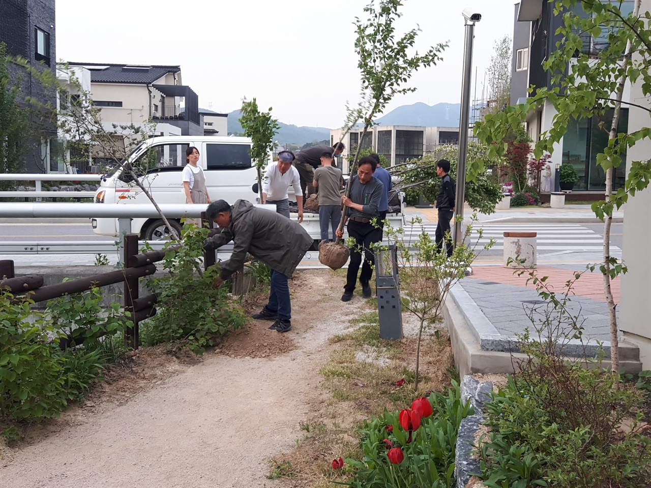 지난 5월 2일 예스파크의 회랑길 입주작가들은 산책로에  벚나무 27그루와 라일락 370그루를 심었다.   