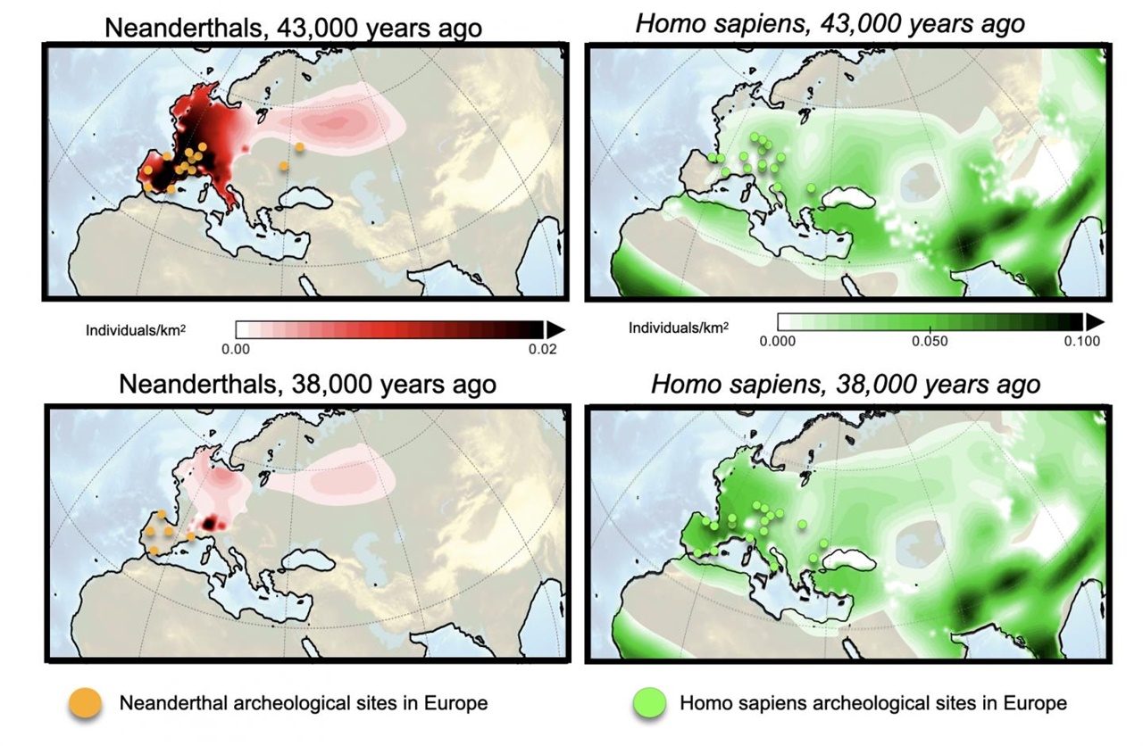 네안데르탈인(왼쪽)과 호모 사피엔스의 유라시아 지역에서 인구분포 변화. 색이 짙을수록 인구밀도가 높은데, 평방 킬로미터 당 호모사피엔스의 인구밀도가 높았다는 점도 알 수 있다.