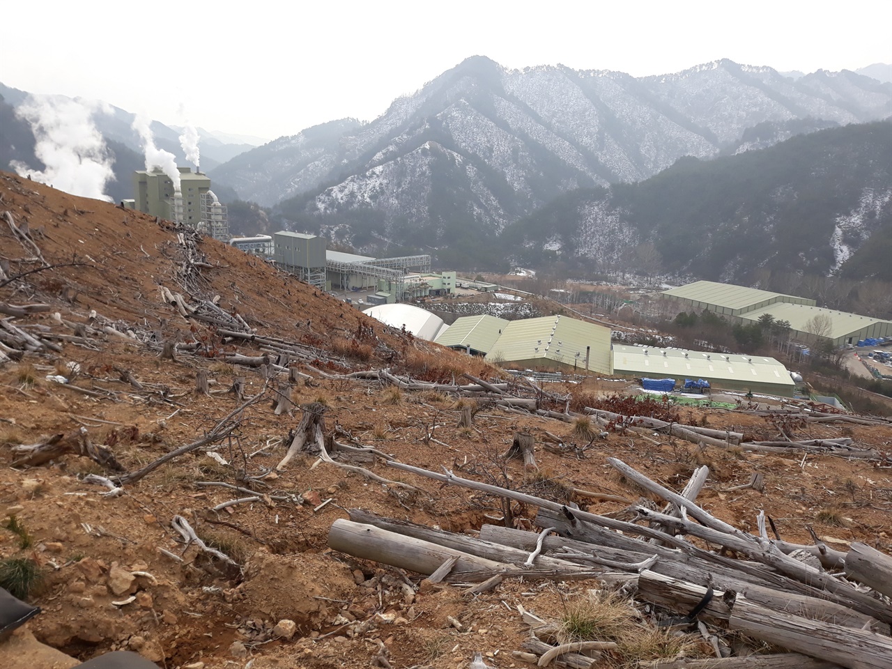 2018년 11월의 굴티공장(석포제련소 3공장). 공장 뒷산에 고사한 나무들이 버려져 있다. 굴티마을 주민이 떠난 자리에 3공장이 새로 들어섰다.