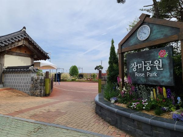 곡성 기차마을 장미공원