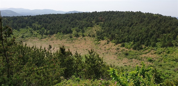 백약이오름도 여느 오름들과 마찬가지로 넓은 분화구(굼부리)를 품고 있었다. 분화구 가운데에는 새들이 자라고 주변에 곰솔들이 씩씩하게 자라고 있는 모습이 인상적이다.