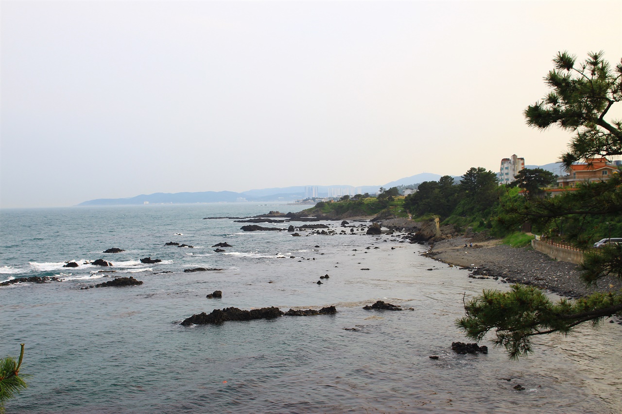 울산 정자항과 근거리에 있는 경주 읍천항 주변 모습