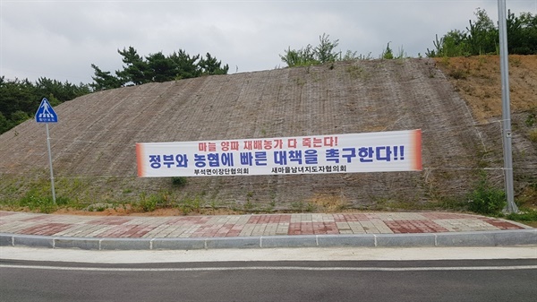 지난해에도 서산에서는 마늘과 양파 가격폭락으로 농가들이 어려움을 겪으면서, 정부와 농협에 대책을 촉구하는 펼침막을 내걸기도 했다. 