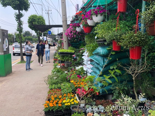 꽃 중·도매상이 몰려 있는 경기도 소재 한 화훼거리.