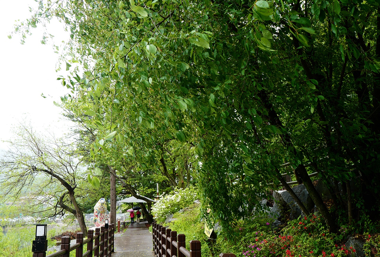 고모호수공원 둘레길 풍경     비가 오는 중에도 사람들이 호수 둘레길을 따라 우중산책을  즐기고 있다