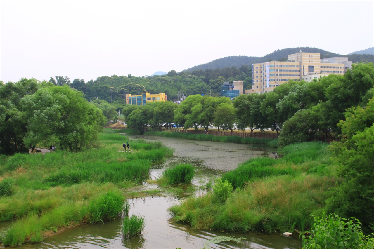 경주 금장대 자연학습원 습지 모습