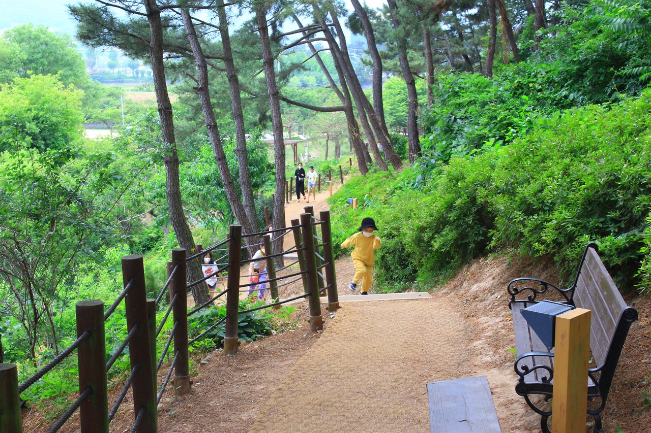 자연학습원 습지에서 금장대로 올라가는 산책로 모습