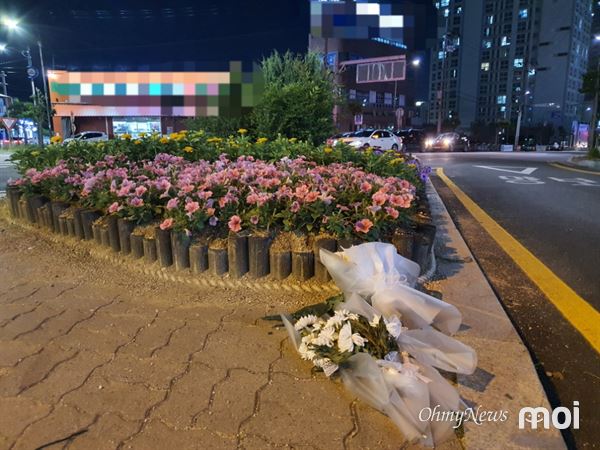 11일 오후 서산경찰서 앞 사거리 횡단보도에 교통사고로 사망한 한 초등학생을 추모하는 국화꽃이 놓였다.