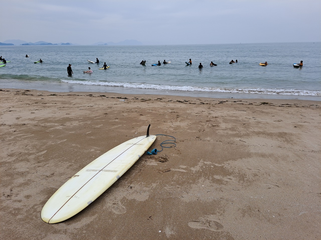 파도가 넘실대는 남열해수욕장에는 서핑을 즐기는 사람들이 가득하다.
