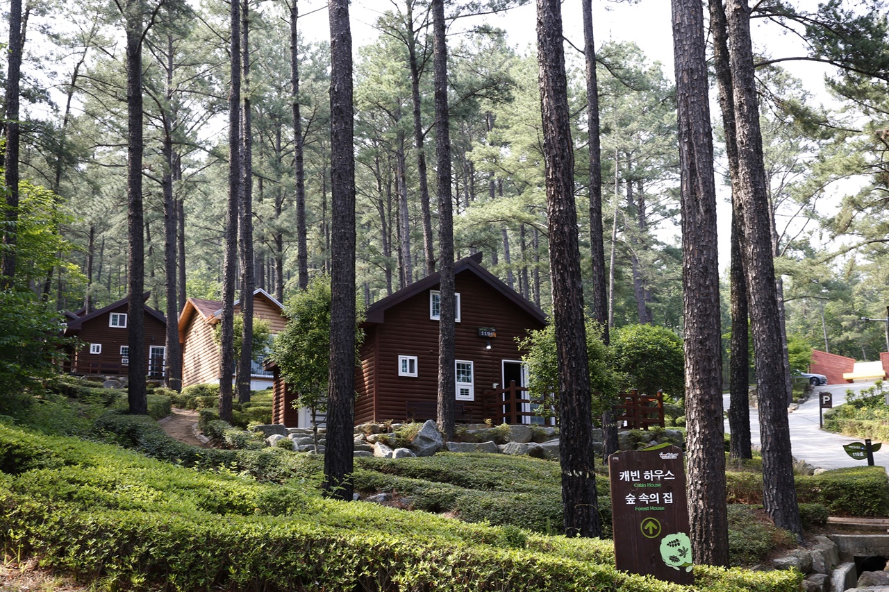 백운산휴양림 숲속의 집. 통나무로 지은 원룸형 숲속의집부터 복층 구조의 캐빈하우스까지 다양한 숙박시설이 설치돼 있다.