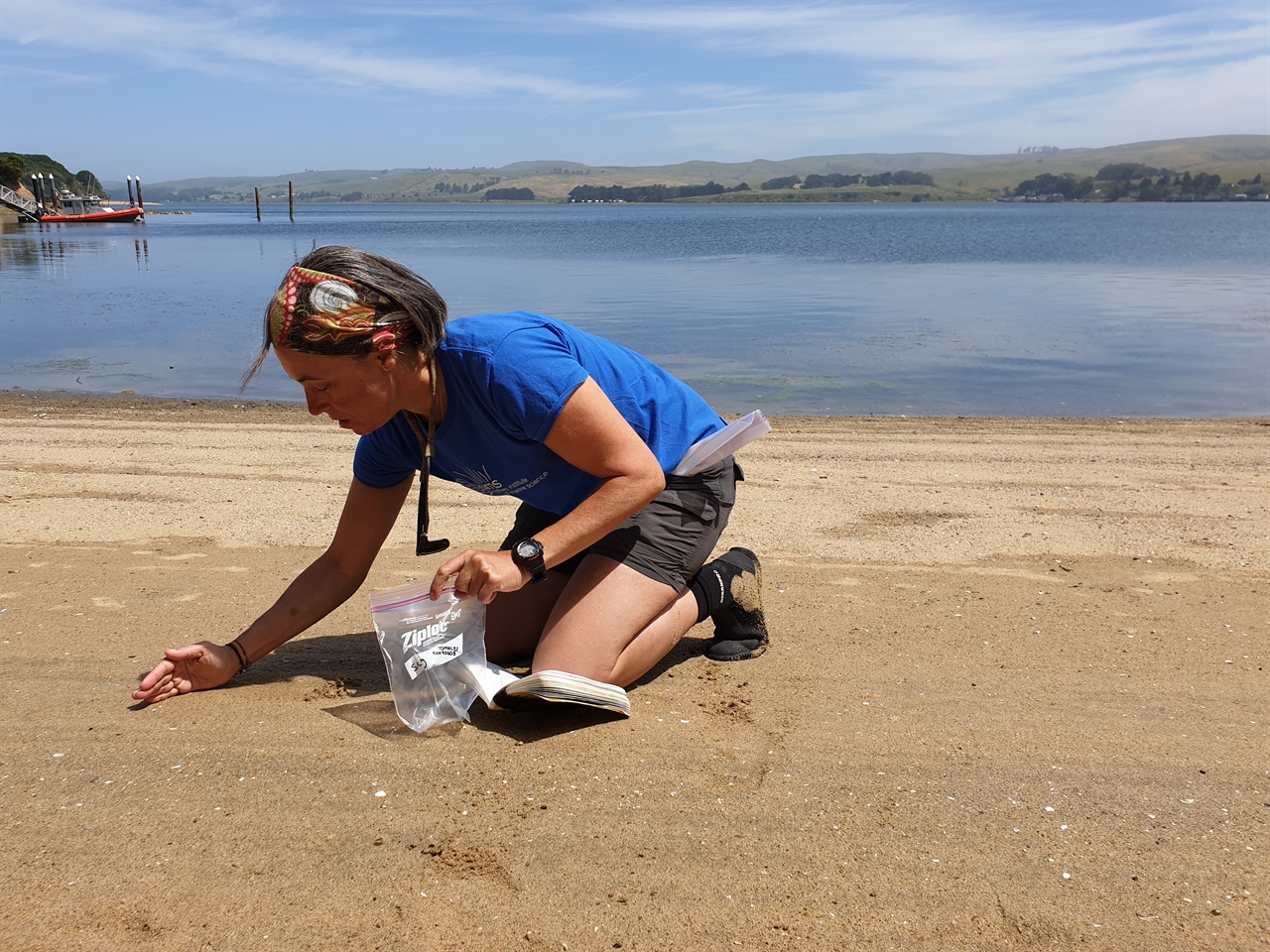 시드니 대학 빌라-콘세호 교수가 미국 캘리포니아 토말레스 해변에서 모래를 연구에 사용될 모래를 채취하고 있다. 