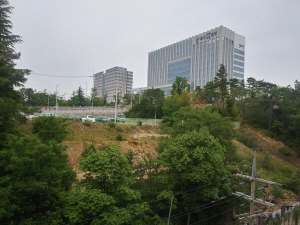   울산 남구 옥동 아파트쪽에서 바라본 울산지방법원쪽 언덕. 남구청이 남구 옥동 울산지방법원 주차장 바로 밑 언덕에 조성된나무들을 베어낸 자리에 흙이 드러나 있다