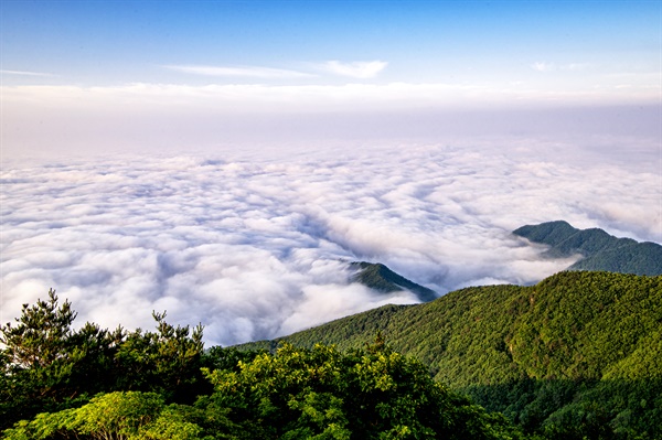 합천 오도산 정상의 운해.