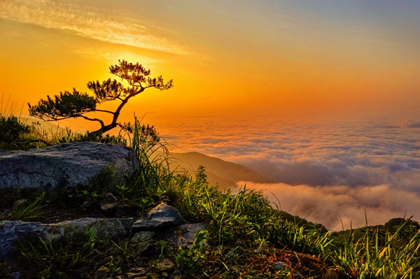  합천 오도산 정상의 운해.