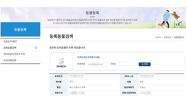 동물보호관리시스템 검색 화면 호밀이의 내장칩 번호의 검색 결과, '뿌뿌'(가명)라는 이름이 조회됐다.