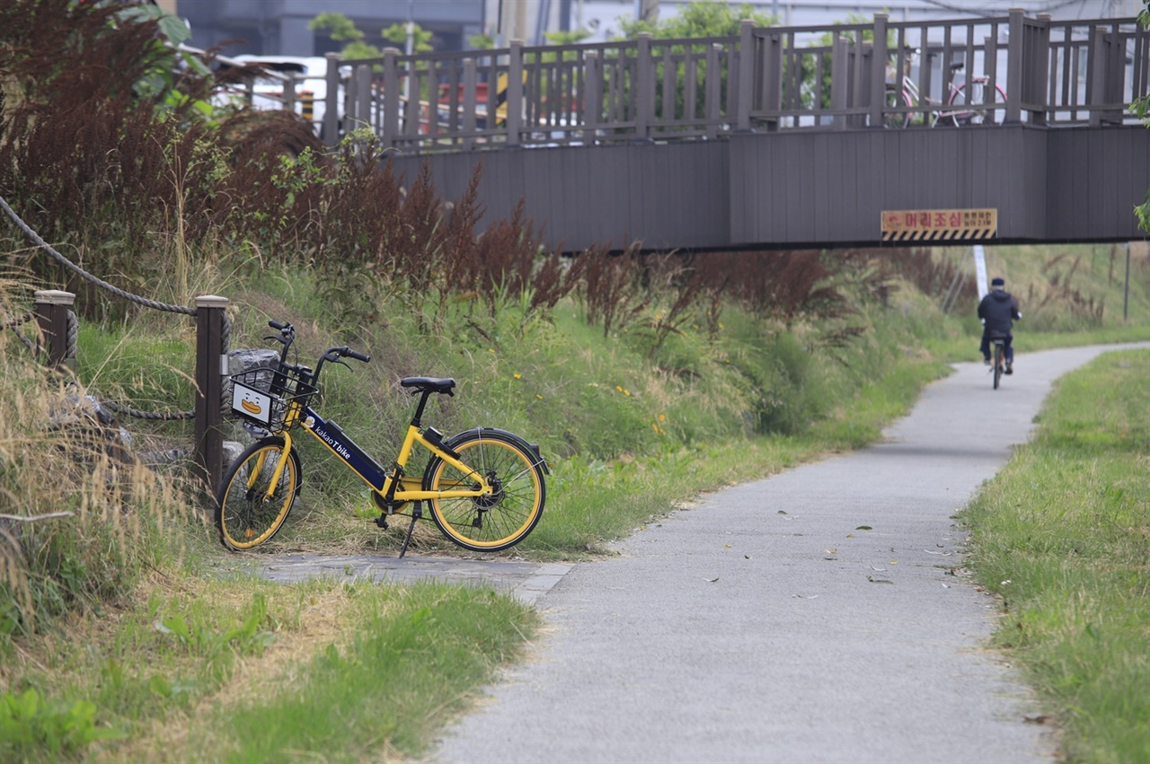 동네 천변에 거치되어 있는 자전거. 자전거가 코로나 이후의 대안으로 하루빨리 자리잡기를 간절히 바란다.    