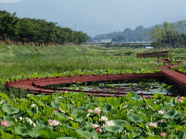 지리산정원 연꽃밭