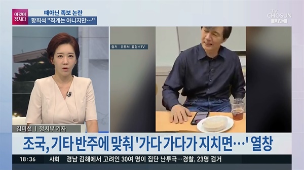  조국 전 법무부 장관의 노래 영상 상세히 설명한 김미선씨, TV조선 < 이것이 정치다 >(6/23)