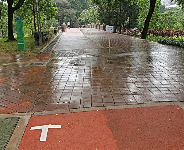 많은 사람이 모이는 공원에는 혼잡을 피하기 위해 걷는 방향을 구분하고 사회적 거리를 안내하고 있다.