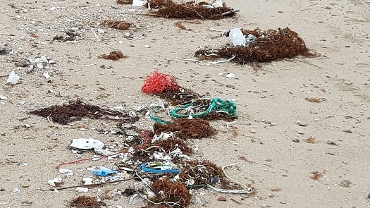 버려진 어망 사이로  보이는 해양 쓰레기들. 