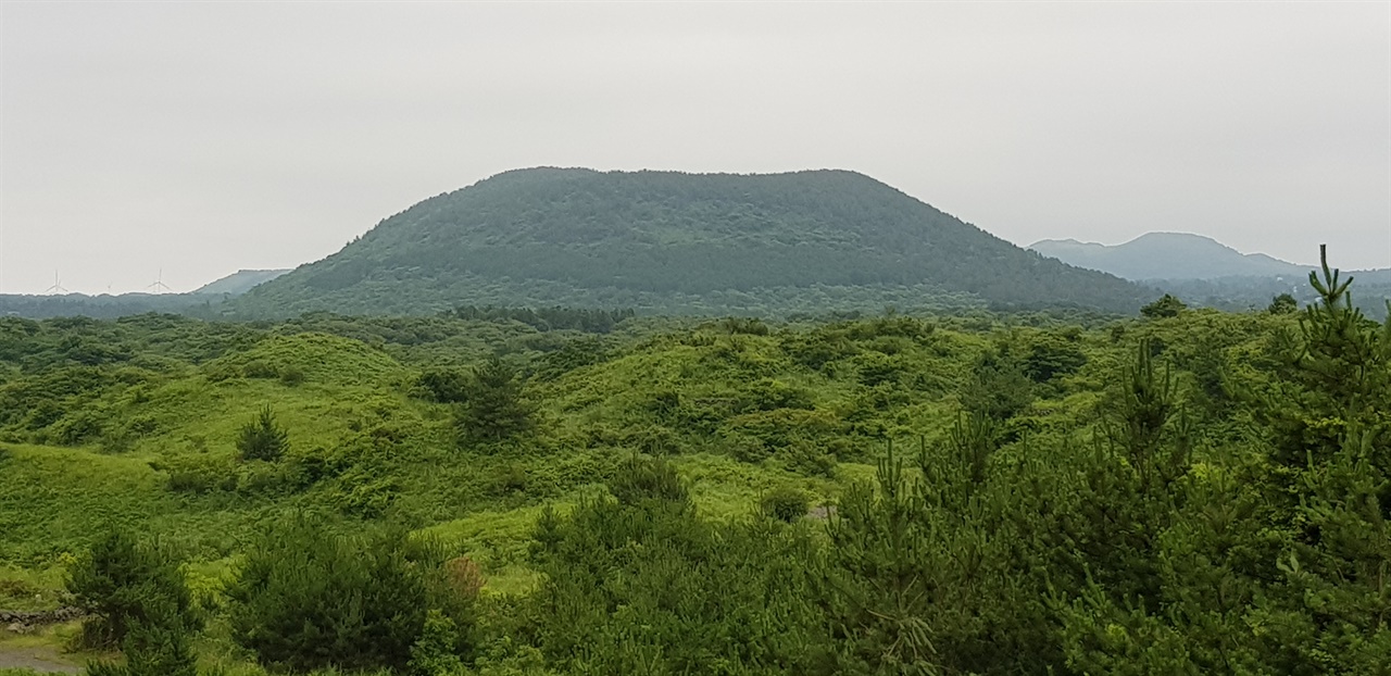 돝오름 둔지오름에서 본 돝오름