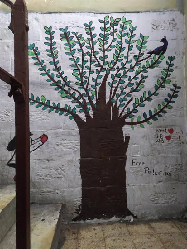 탄위르 사무실은 입구부터 그림과 글씨로 가득한데, 팔레스타인의 상징이라고 할 수 있는 큰 올리브 나무가 입구에 서 있다
