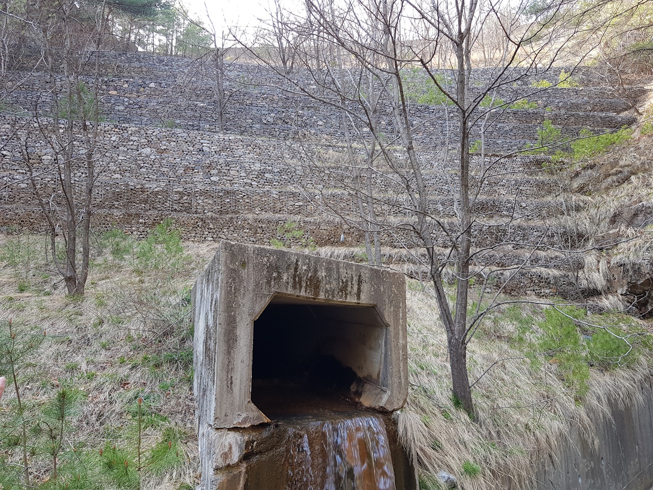 2019년 4월의 대현리 광미댐. 계곡 앞쪽에 돌망태 옹벽이 설치되어 있고 아래 배수관을 통해 침출수가 흘러나오고 있다. 