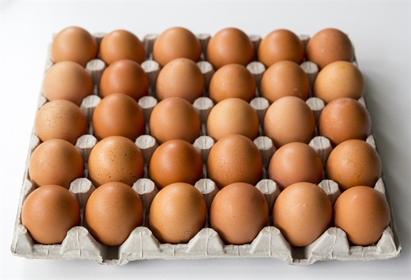 A씨는 지난 3월 23일 배가 고파서 수원의 한 고시원에서 구운 달걀 18개를 훔쳤다