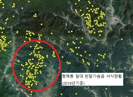 지리산 형제봉 일대 반달가슴곰 서식 현황.