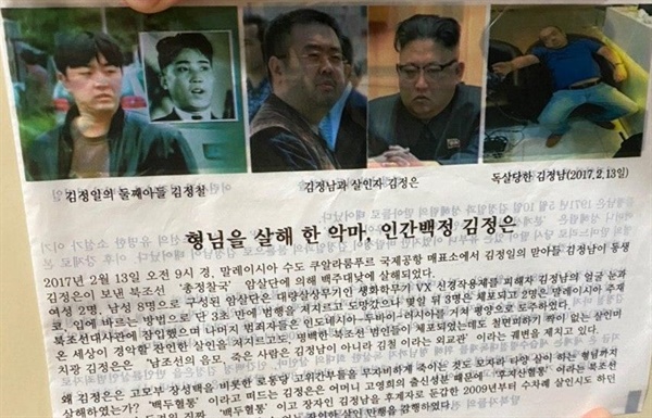박대표가 북한에 살포한 전단은 북한 김정은 국무위원장을 '세습수령절대독재를 위해 형님(김정남)까지 독살한 희대의 악마, 인간백정'이라고 규정했다.