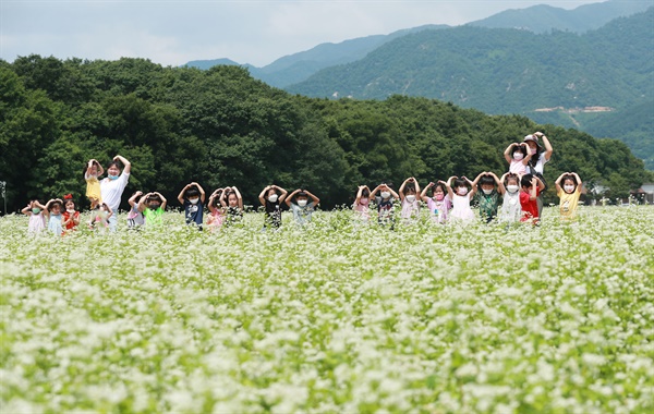  함양 상림공원 경관단지의 메밀꽃.