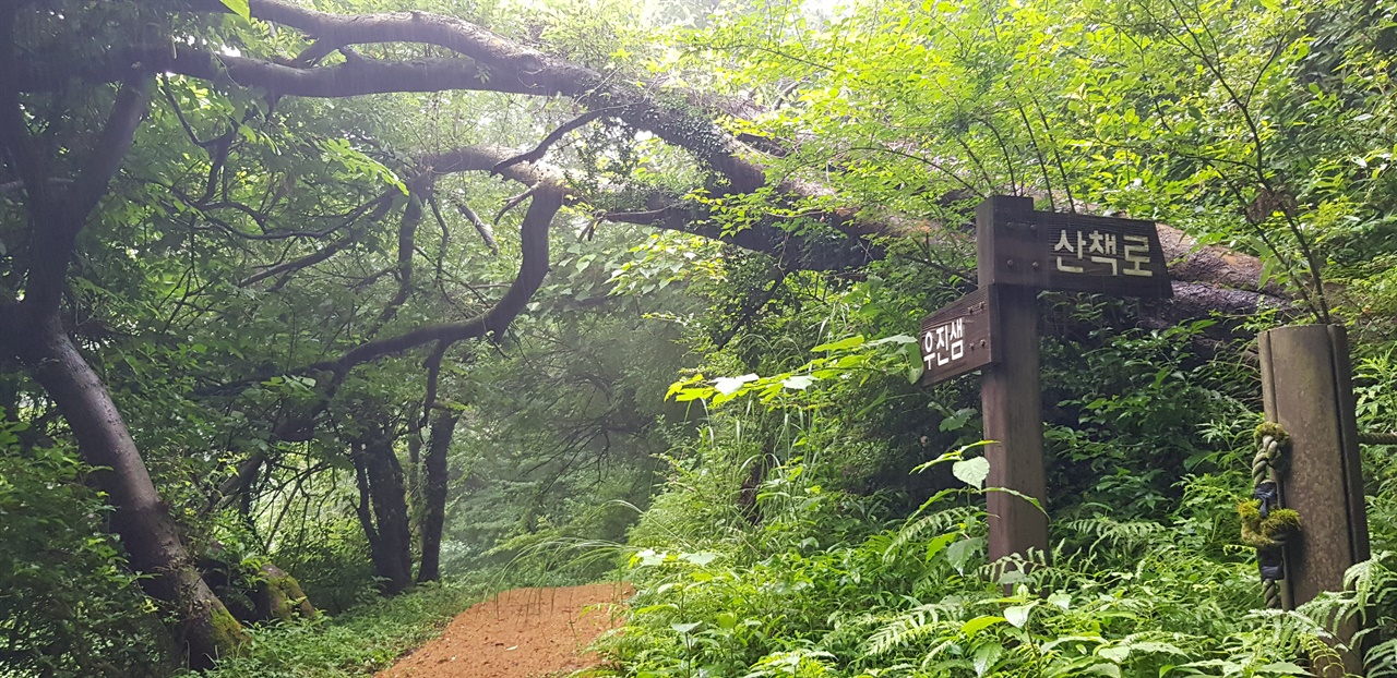 우진제비오름 산책로 산책로와 우진샘을 알리는 이정표