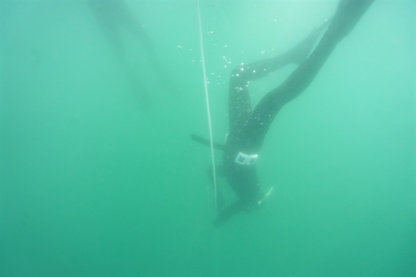 아무것도 안하고 바다 위에서 한시간을 보낼수는 없는 노릇이다. 이를 악물고 다이빙 훈련을 한 결과 5m깊이까지 도달할 수 있었다. 