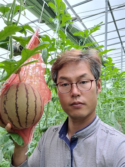 경남 고성 영오면에 사는 김진규씨가 애플수박을 재배하고 있다.