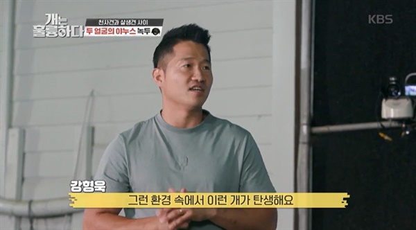  지난 13일 방송된 KBS2 <개는 훌륭하다>의 한 장면