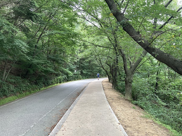  경주 김유신 장군묘 일방도로변에서 혼자서 걷기 운동 하고 있는 시민 모습