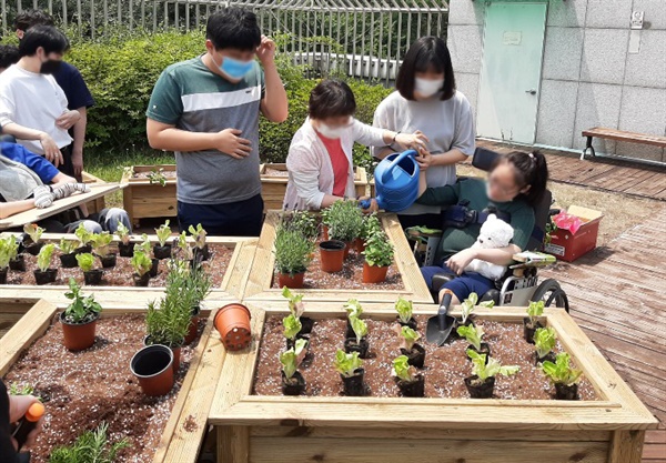 경기농식품유통진흥원(원장 강위원)이 장애인, 노인 등 배려 계층을 위한 ‘사회적 도시텃밭’ 12곳을 조성 완료했다고 밝혔다. 사진은 휠체어텃밭에서 사회적 도시농업 프로그램(장애인 치유형)을 운영 중인 모습.