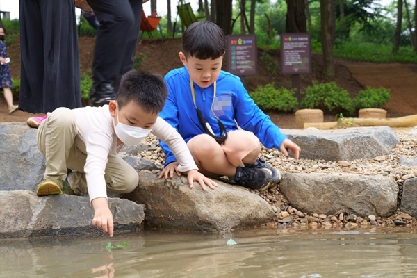 홍성 숲 놀이터에 조성되어 있는 개울가에서 아이들이 즐거운 시간을 보내고 있다. 