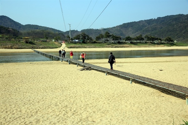 회룡마을에서 회룡포로 뿅뿅다리를 이용해 내성천을 건너는 사람들. 풍경에 봄 기운이 가득하다. 