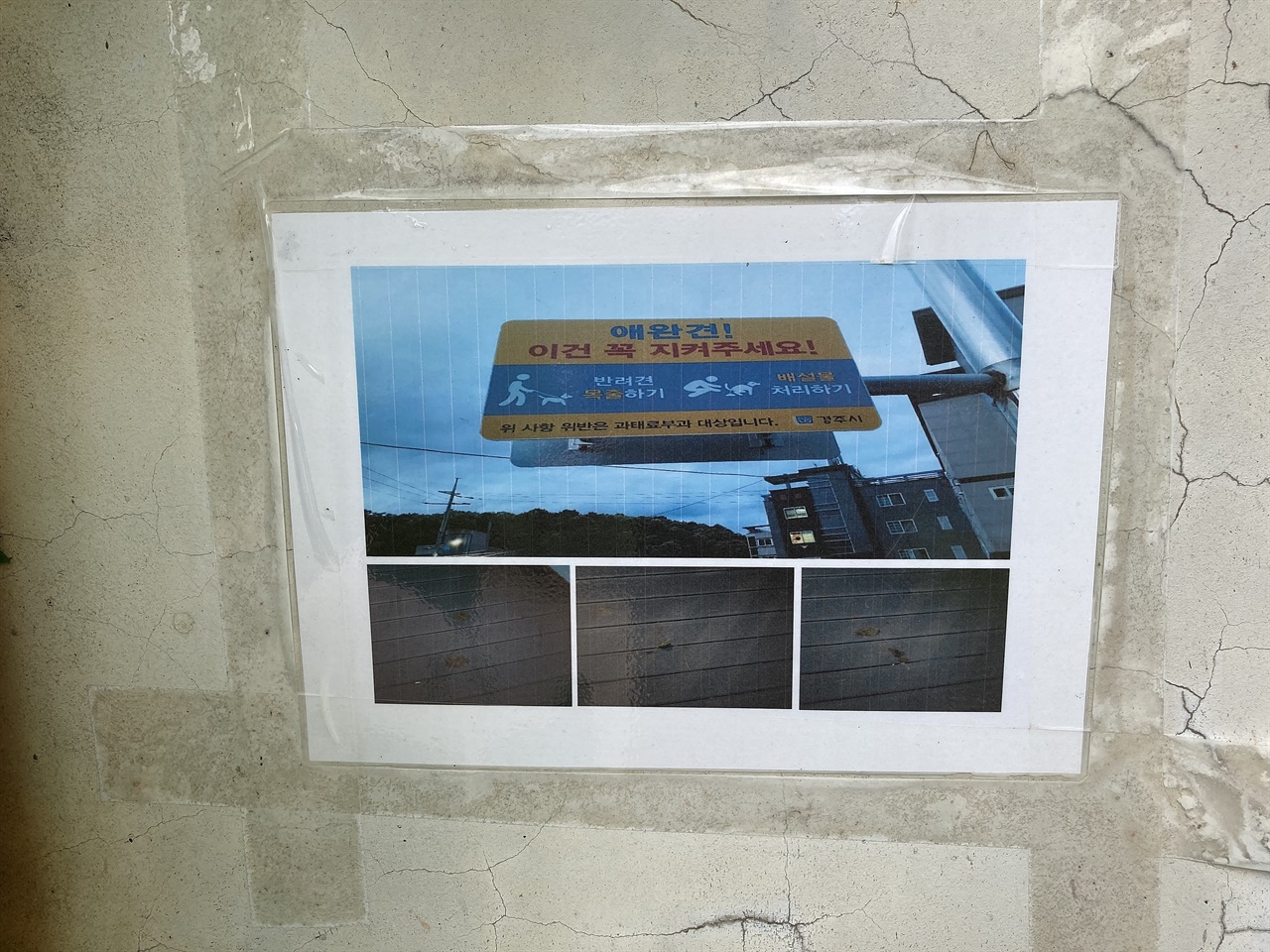 경주 충효천 생태하천에 부착된 "개똥"치우기 캠페인 사진