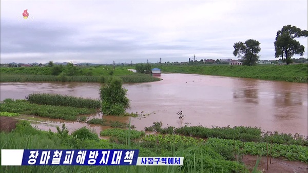 북한 수도 평양시 사동구역의 농경지가 집중호우로 물에 잠긴 모습을 6일 조선중앙TV가 보도했다. 조광철 구역협동농장경영위원회 과장은 "보다시피 낮은 지대에 있는 작물들이 피해를 받고 있다"고 말했다.[조선중앙TV 화면] 2020.8.6 